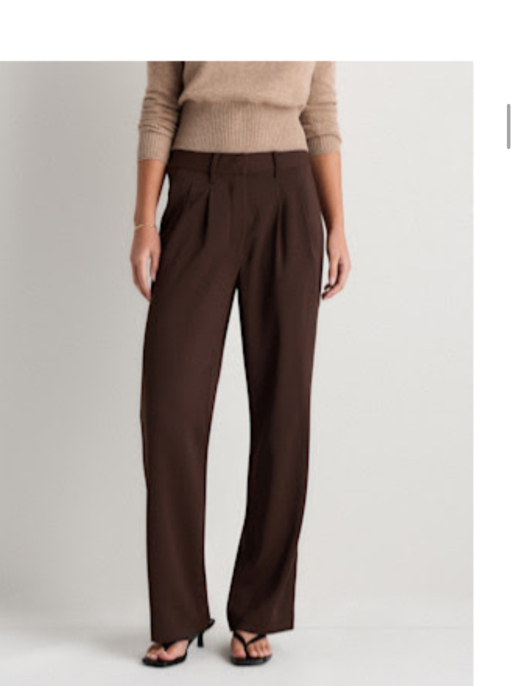 Quince Brown Wide-Leg Pleated Trousers